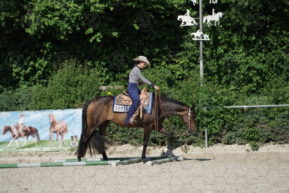 s_APF06717.jpg